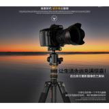 Carbon fiber Camera tripod